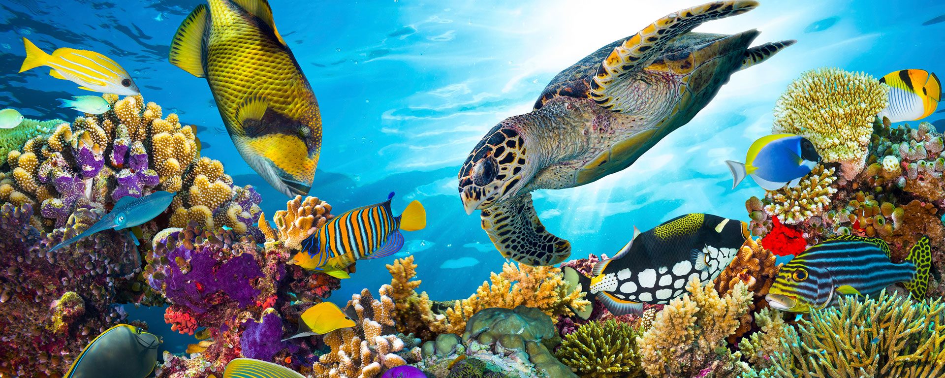 Maldive: ecco perché è impossibile annoiarsi