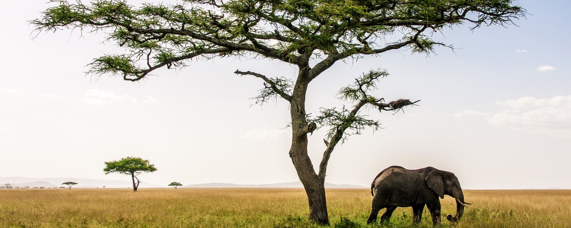 2020 in viaggio: la top 10 delle destinazioni da visitare