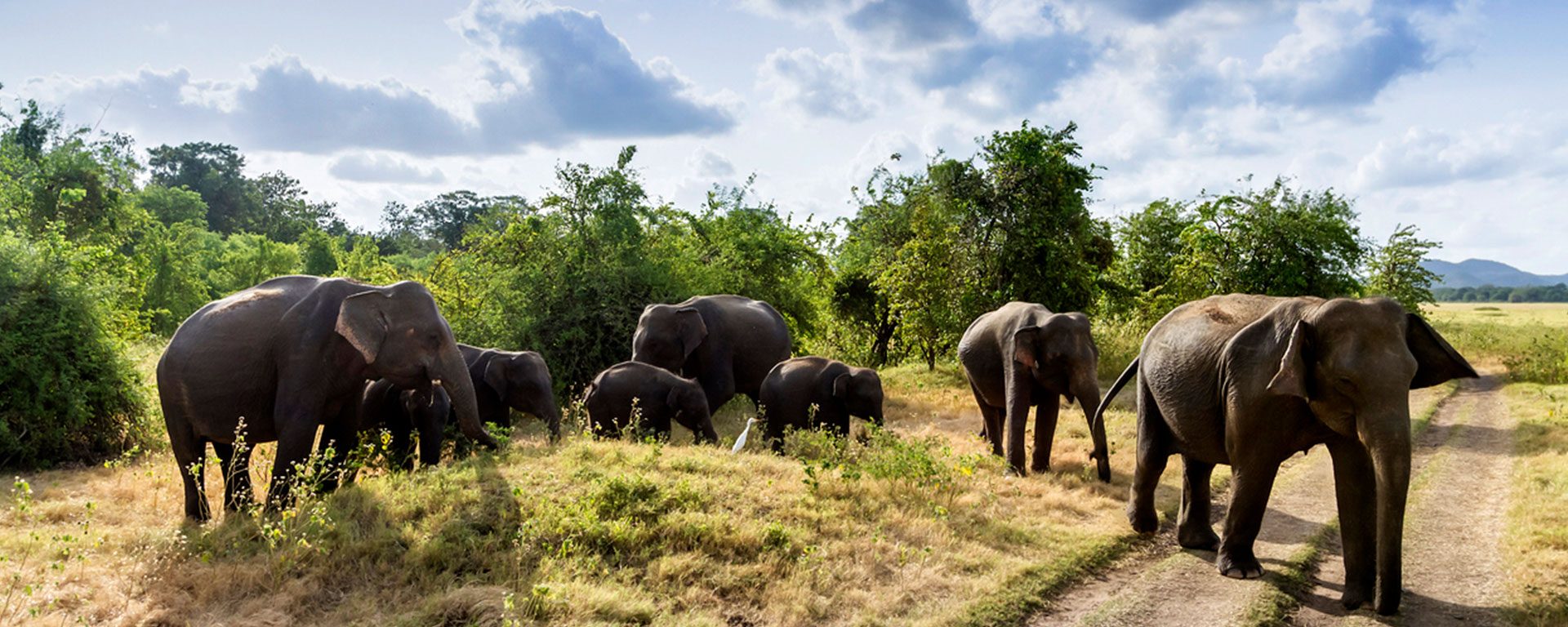 Sri Lanka: 11 cose da fare assolutamente