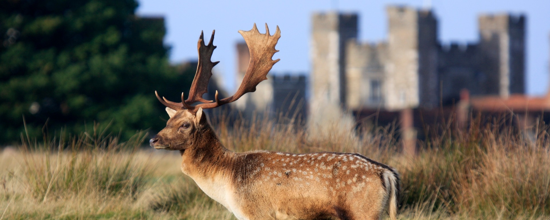 Weekend walks: scenic strolls in Kent