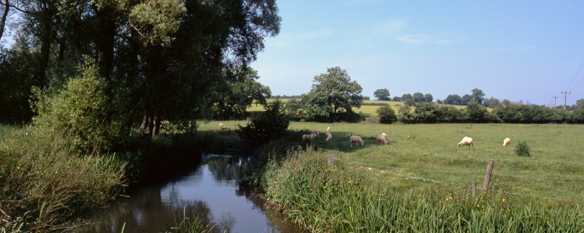 Five of the best walks in Wiltshire
