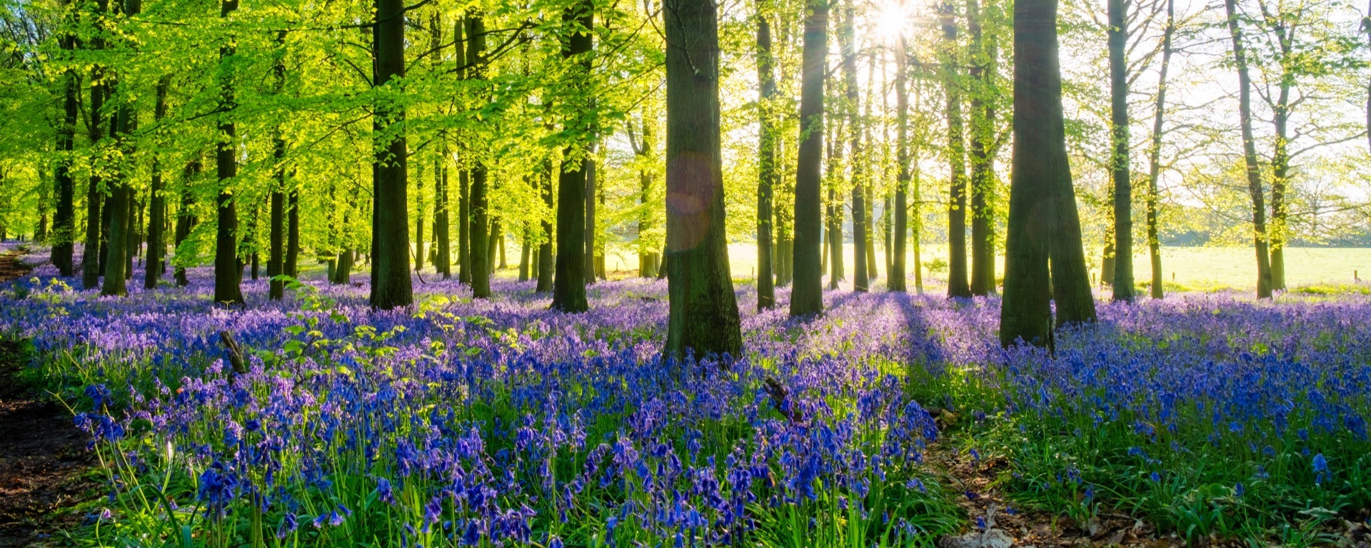 Secret guide to: must-see destinations in Oxfordshire