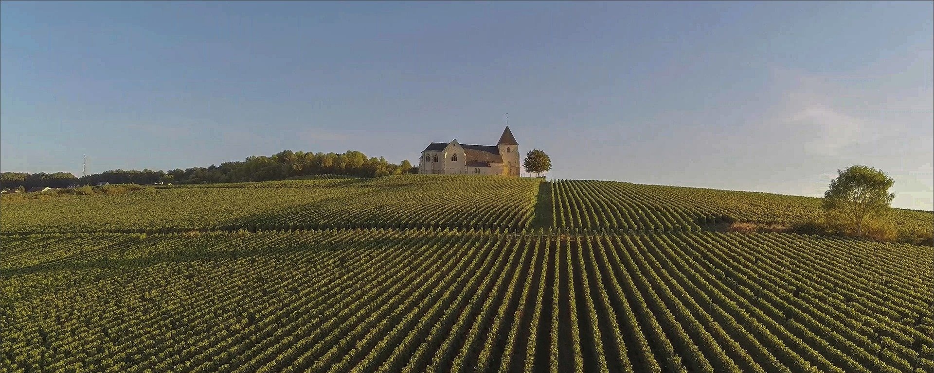 A guide to the Champagne region in France