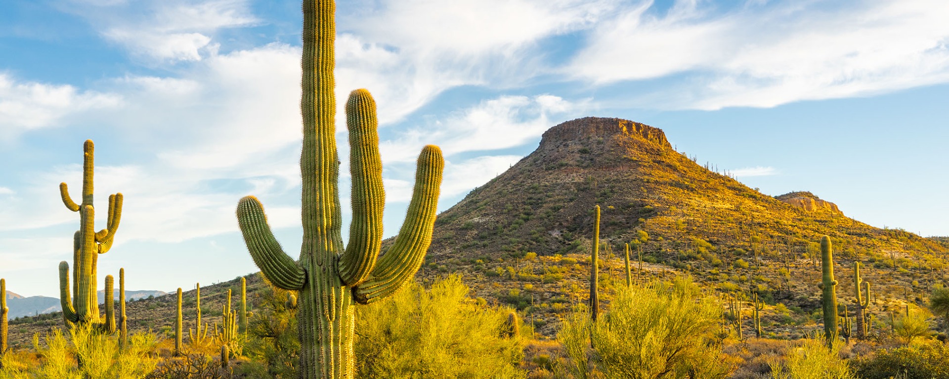 Marvellous Mexico: the best destinations for food and culture
