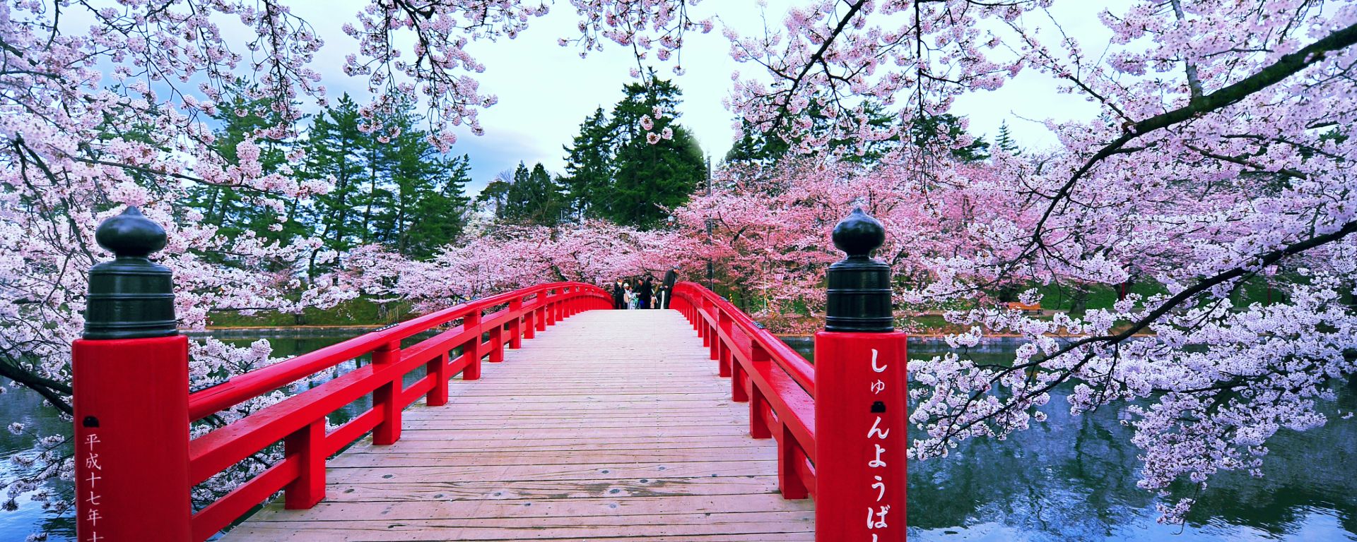 Top Destinations to See Cherry Blossoms