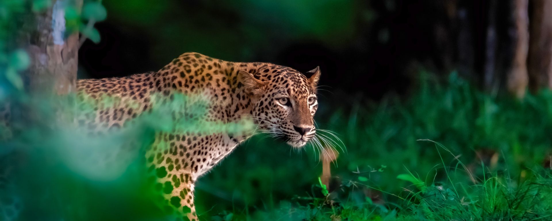 Secret Guide to Sri Lanka