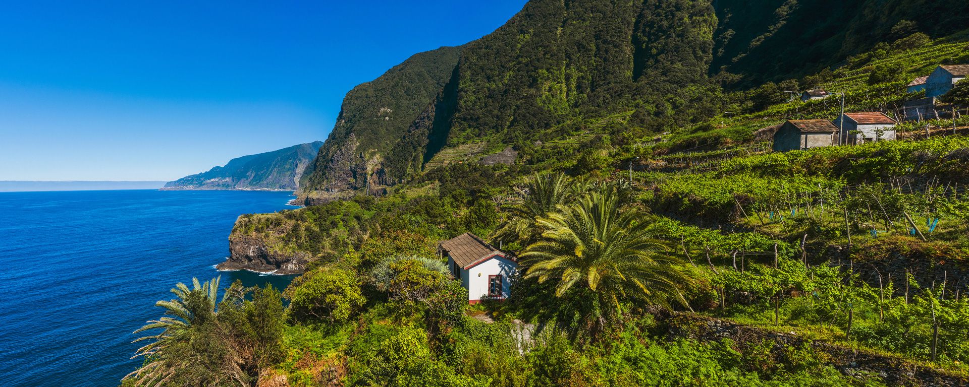 Secret Guide to Sustainable & Eco-Friendly Tourism in Madeira 